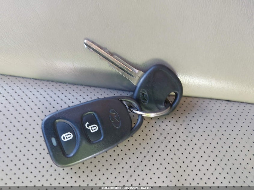 2007 Hyundai Santa Fe Limited/Se VIN: 5NMSH13E57H128985 Lot: 43059058