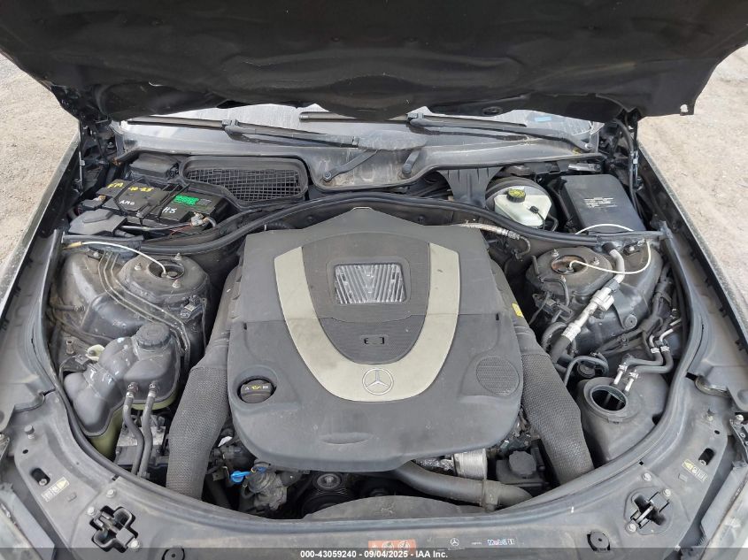 2009 Mercedes-Benz S 550 VIN: WDDNG71X09A258652 Lot: 43059240