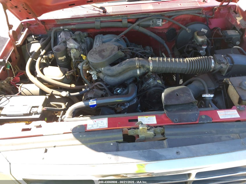 1996 Ford F150 VIN: 1FTEF15N7TLA81449 Lot: 43060906