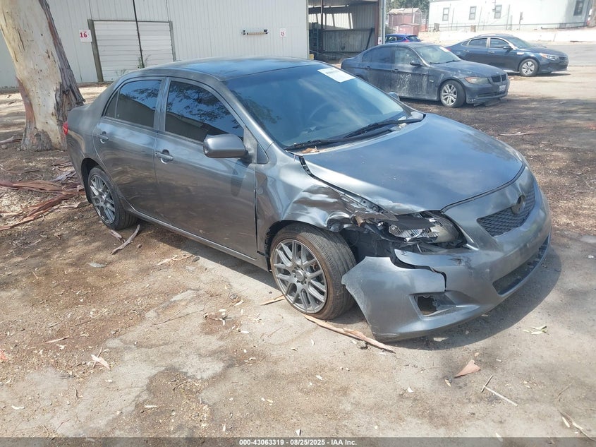 1NXBU4EEXAZ356454 2010 Toyota Corolla Le auction photo 1
