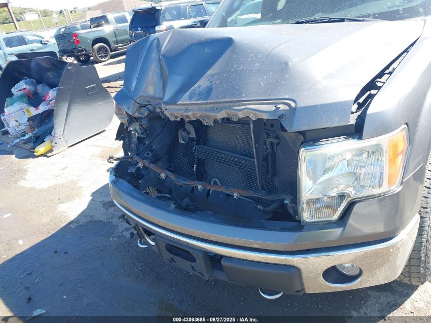 2012 Ford F-150 Xlt VIN: 1FTFX1EFXCFB07678 Lot: 43063685