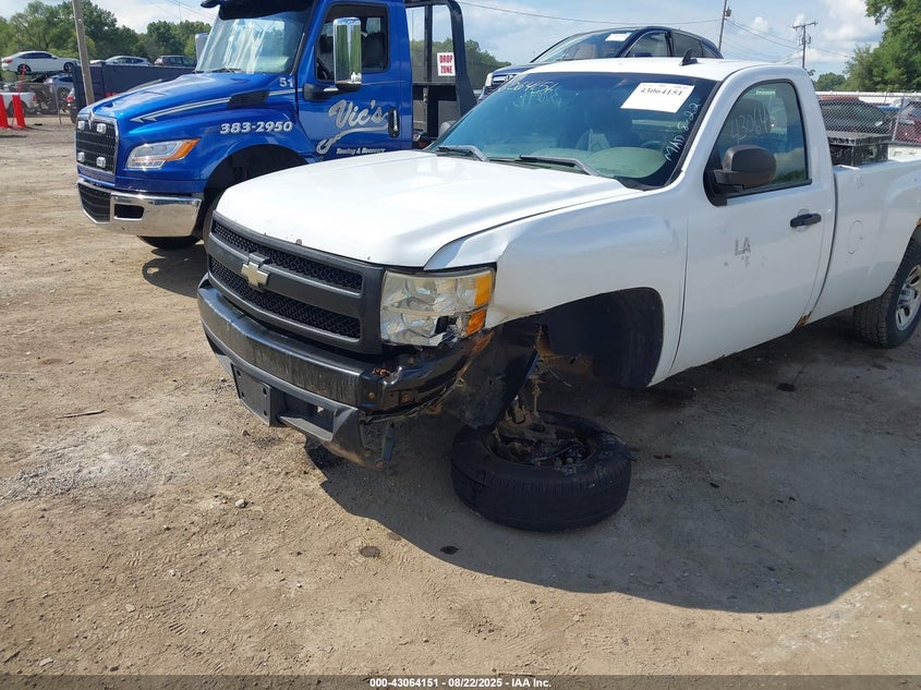 2008 Chevrolet Silverado 1500 Work Truck VIN: 1GCEC14X58Z315863 Lot: 43064151