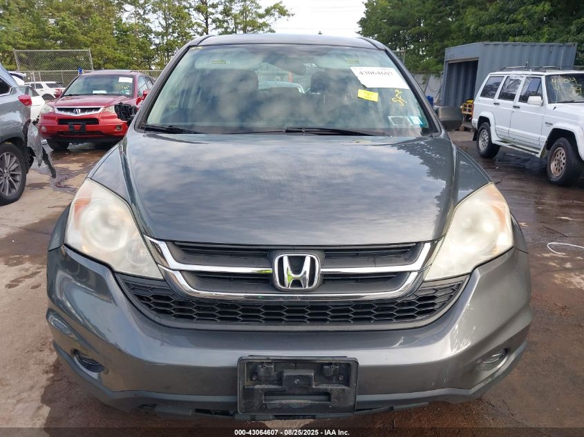 2011 Honda Cr-V Lx VIN: 5J6RE4H31BL033731 Lot: 43064607