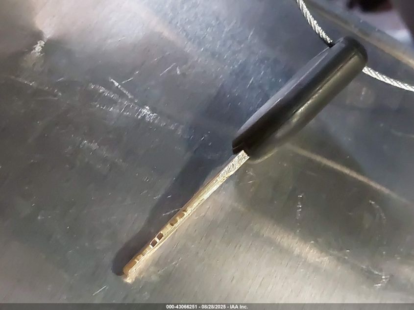 1999 Ford Expedition Xlt VIN: 1FMRU186XXLA87646 Lot: 43066251