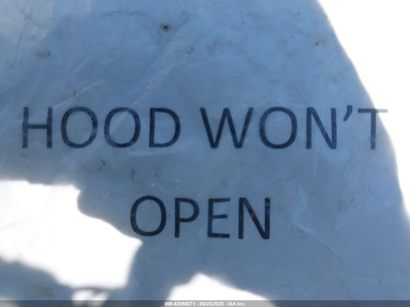 2023 Ford Transit-350 Passenger Van Xlt VIN: 1FDVU4XG3PKB24522 Lot: 43066271