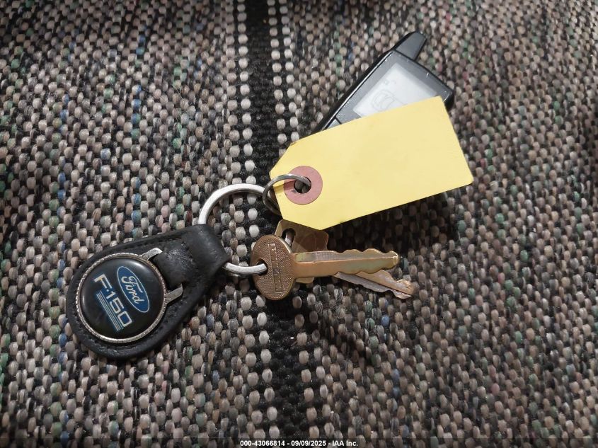 1991 Ford F150 VIN: 1FTDF15H4MNA05778 Lot: 43066814