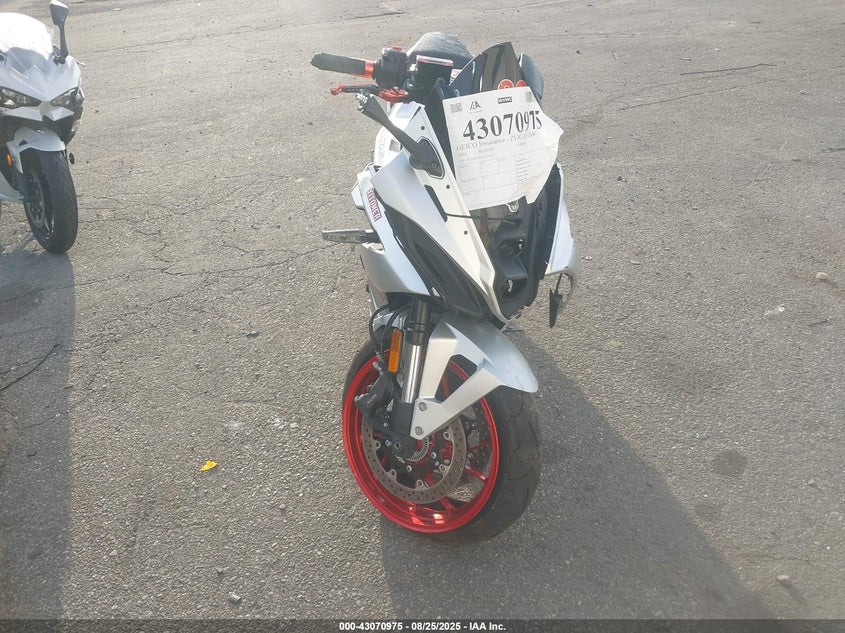 2024 SUZUKI GSX800 F - JS1EM13B1R7102337