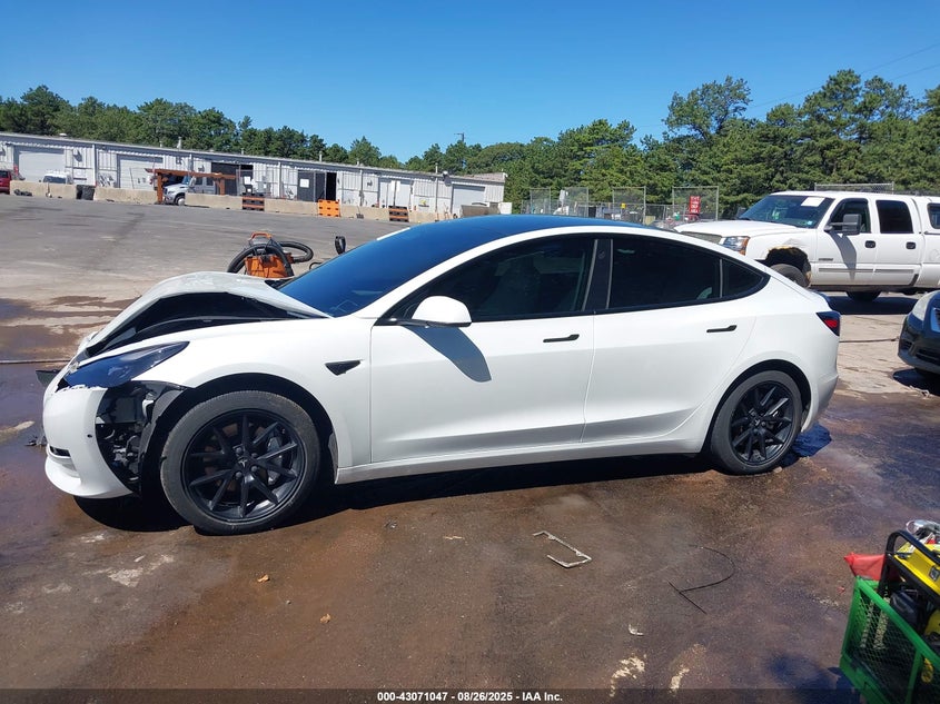 2022 Tesla Model 3 Long Range Dual Motor All-Wheel Drive VIN: 5YJ3E1EBXNF254581 Lot: 43071047