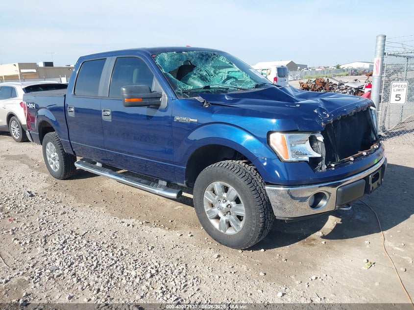 FORD F-150 FX4/HARLEY-DAVIDSON/KING RANCH/LARIAT/PLATINUM/XL/XLT