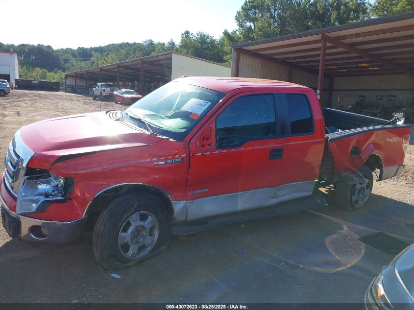 2011 Ford F-150 Xlt VIN: 1FTFX1ET1BFD02847 Lot: 43072623