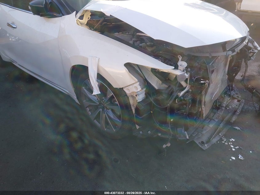 2023 Nissan Maxima Platinum Xtronic Cvt VIN: 1N4AA6FV8PC504253 Lot: 43073332