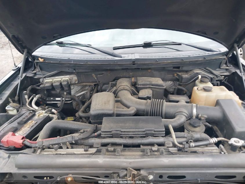 2010 Ford F-150 Fx4/Lariat/Xl/Xlt VIN: 1FTFX1EV9AFB75068 Lot: 43073904