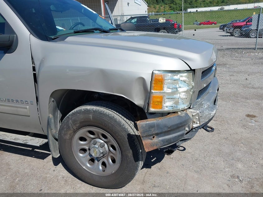 2009 Chevrolet Silverado 1500 Ls VIN: 1GCEK19C79Z267213 Lot: 43074567