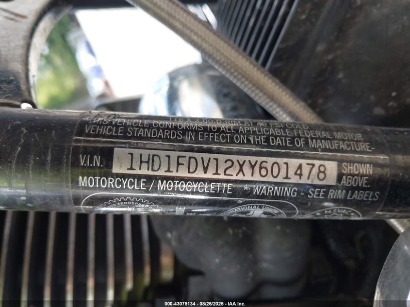 1999 Harley-Davidson Flhr VIN: 1HD1FDV12XY601478 Lot: 43075134