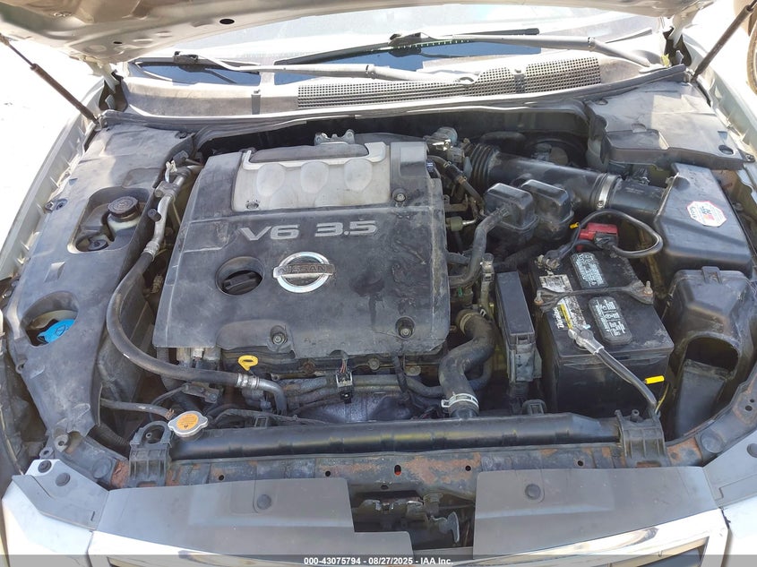 2008 Nissan Maxima 3.5 Se VIN: 1N4BA41E48C816457 Lot: 43075794