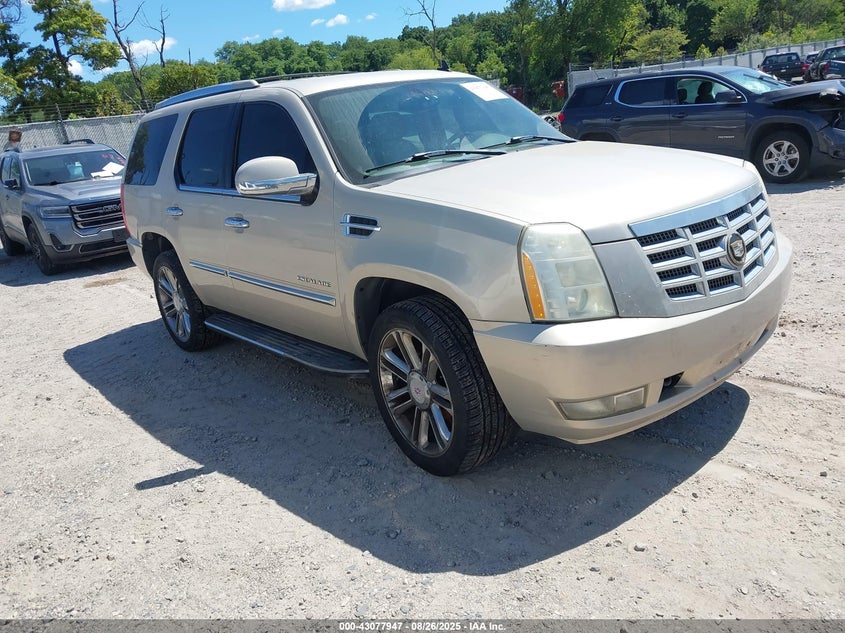 1GYFK63877R207896 2007 Cadillac Escalade Standard auction photo 1