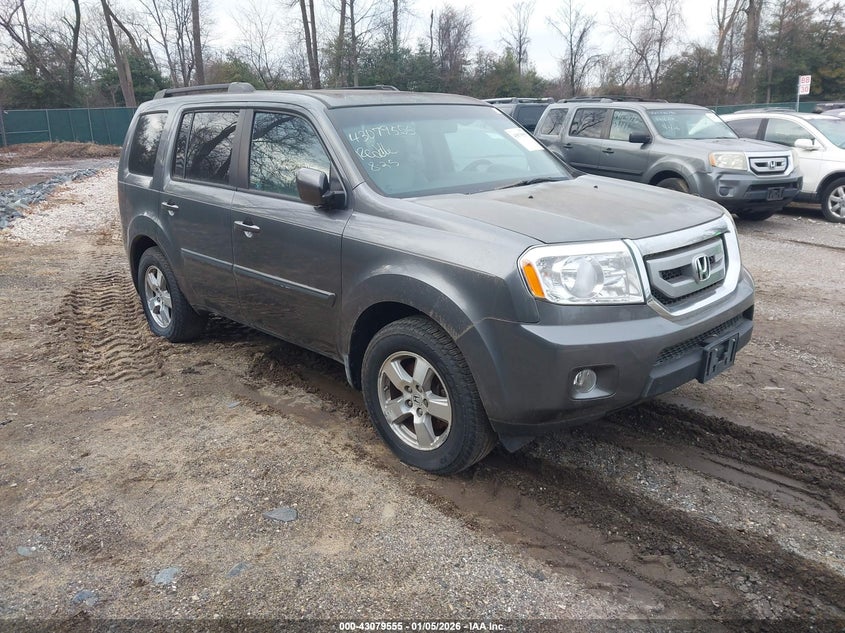 Vin: 5fnyf4h61bb022675, lot: 43573807, honda pilot ex-l 2011 img_1