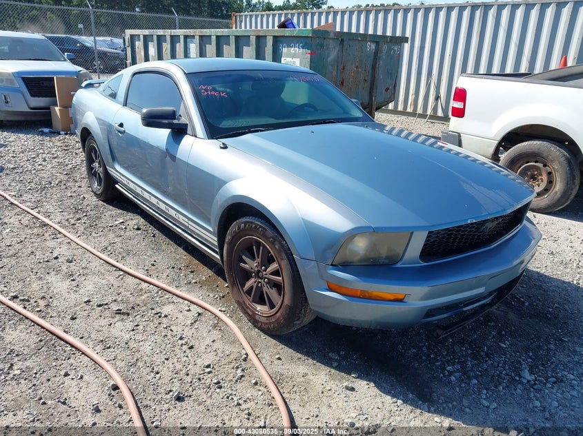 1ZVFT80N365163309 2006 Ford Mustang V6 auction photo 1