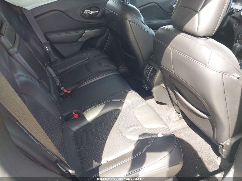 2019 Jeep Cherokee Limited 4X4 VIN: 1C4PJMDN2KD117342 Lot: 43081872