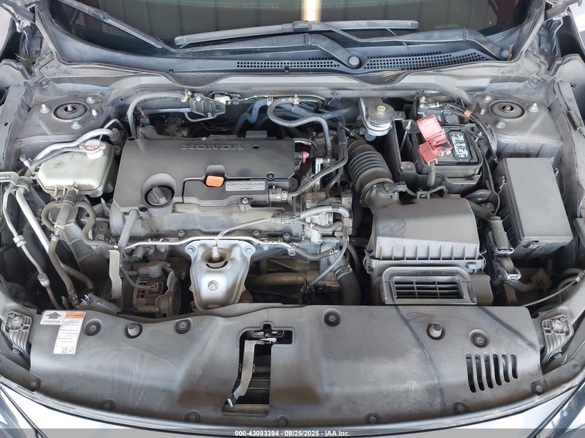 2019 HONDA CIVIC LX - 2HGFC2F66KH566706