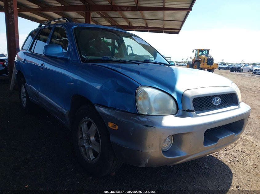 KM8SC73E13U491008 2003 Hyundai Santa Fe Gls/Lx auction photo 1