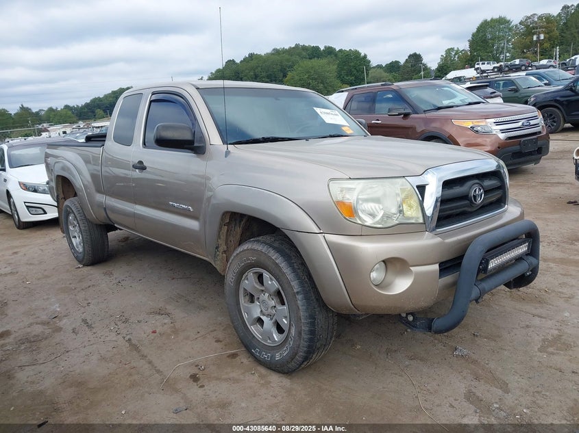 2006 Toyota Tacoma Base V6 gold truck gasoline 5TEUU42N56Z307680 photo #1