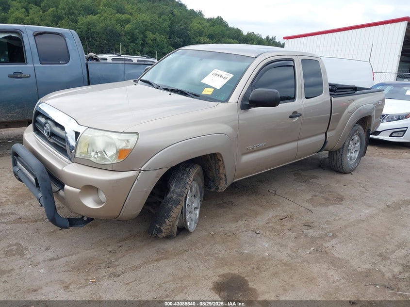 2006 Toyota Tacoma Base V6 gold truck gasoline 5TEUU42N56Z307680 photo #3