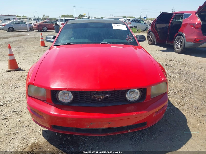 2005 Ford Mustang Gt Deluxe/Gt Premium VIN: 1ZVHT82H255129974 Lot: 43085739