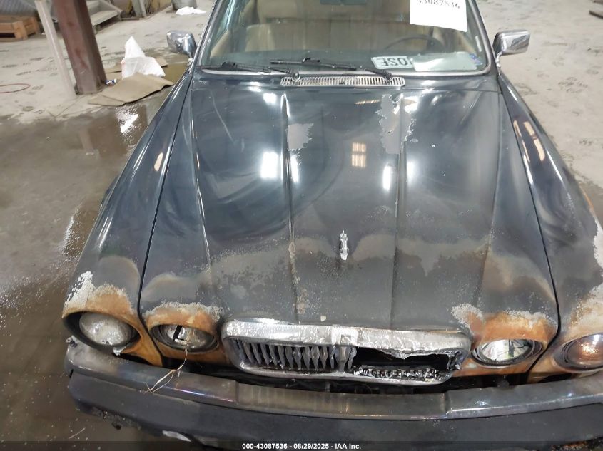 1985 Jaguar Xj6 VIN: SAJAV1346FC416069 Lot: 43087536