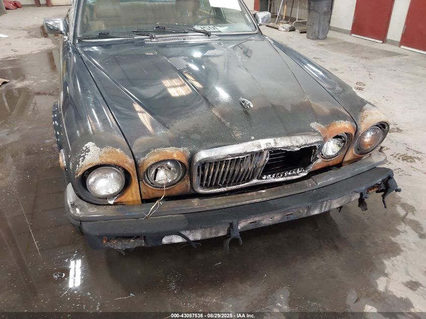 1985 Jaguar Xj6 VIN: SAJAV1346FC416069 Lot: 43087536