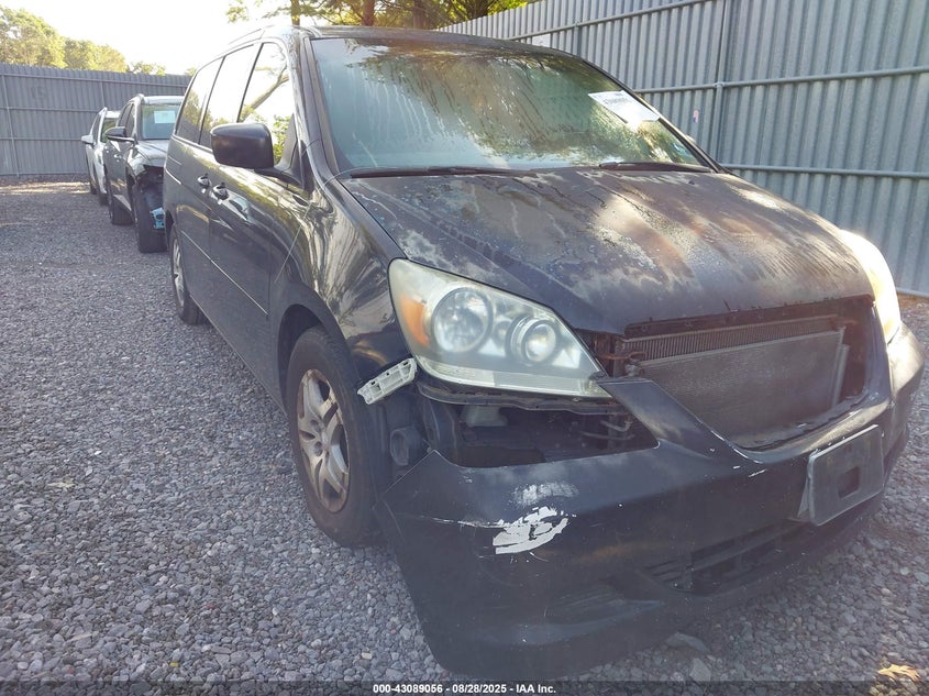 5FNRL38605B029239 2005 Honda Odyssey Ex-L auction photo 1