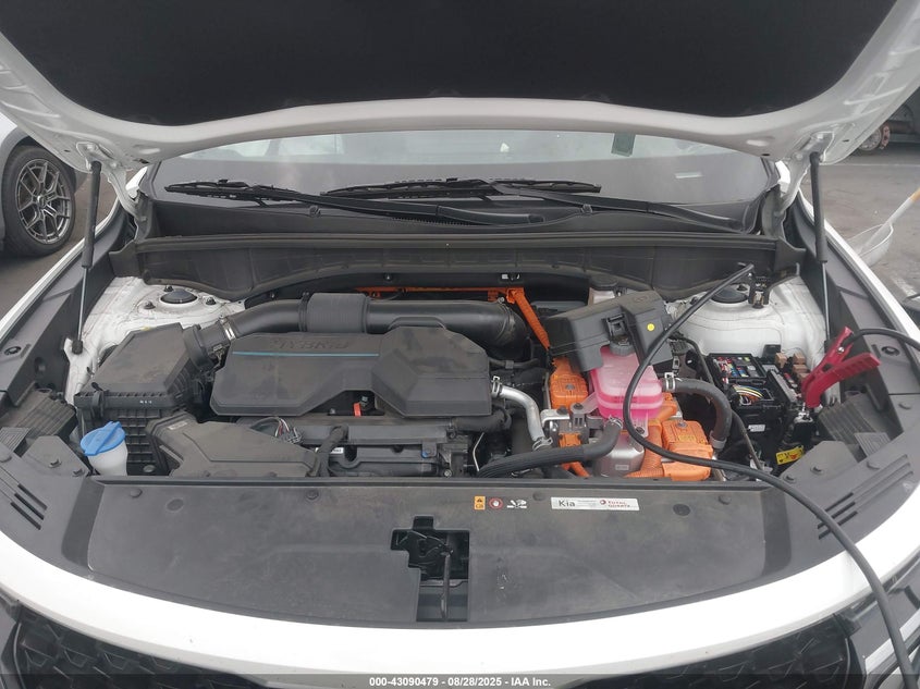 2024 Kia Sorento Hybrid Ex VIN: KNDRHDLG8R5248142 Lot: 43090479