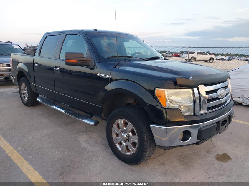 1FTPW12V39FB09753 2009 Ford F-150 King Ranch/Lariat/Platinum/Xl/Xlt auction photo 1