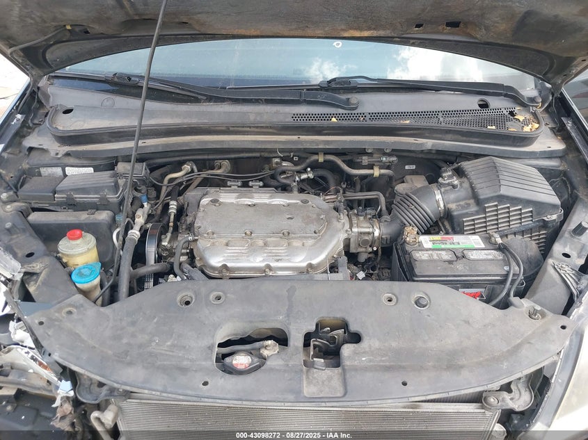 2008 Honda Odyssey Ex-L VIN: 5FNRL38758B010280 Lot: 43098272