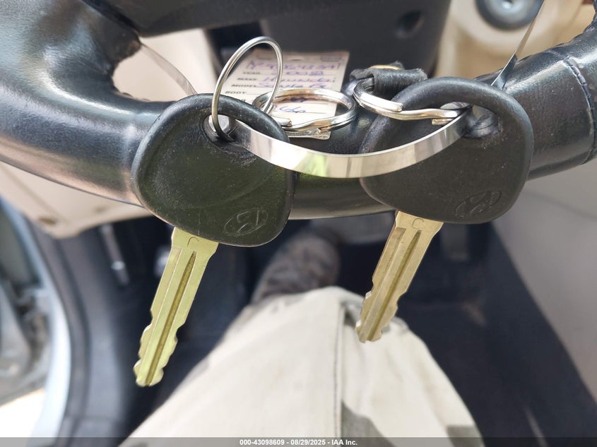 2008 Hyundai Santa Fe Limited/Se VIN: 5NMSH73E38H218866 Lot: 43098609