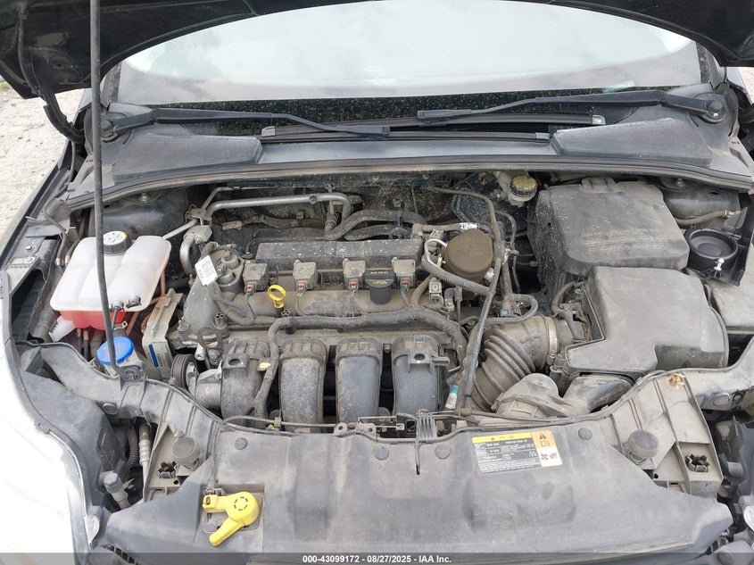 2014 FORD FOCUS SE - 1FADP3K28EL169823