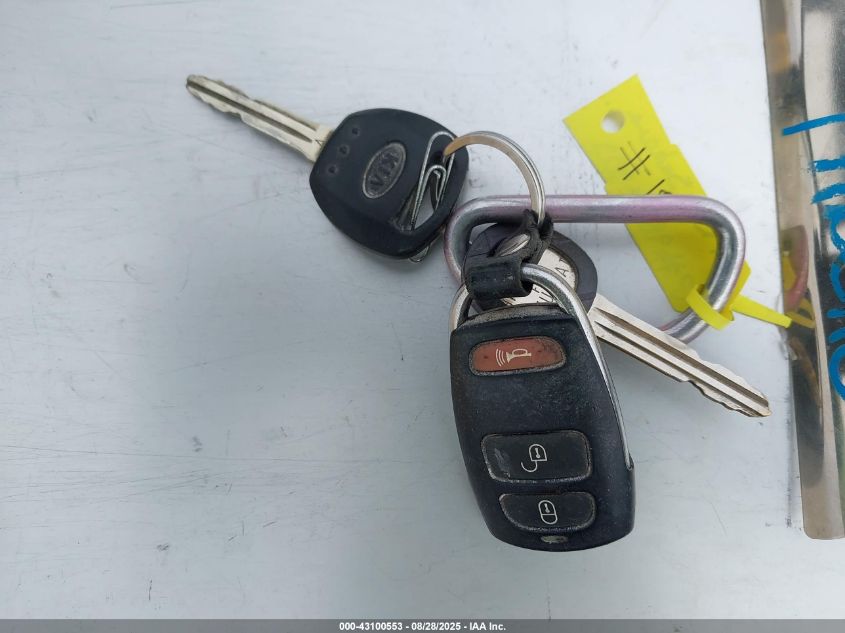 2009 Kia Sedona Lx VIN: KNDMB233X96273115 Lot: 43100553