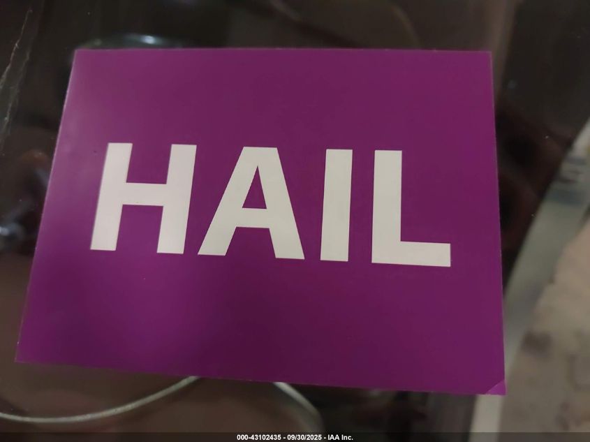 2017 Chrysler Pacifica Limited VIN: 2C4RC1GG9HR637784 Lot: 43102435