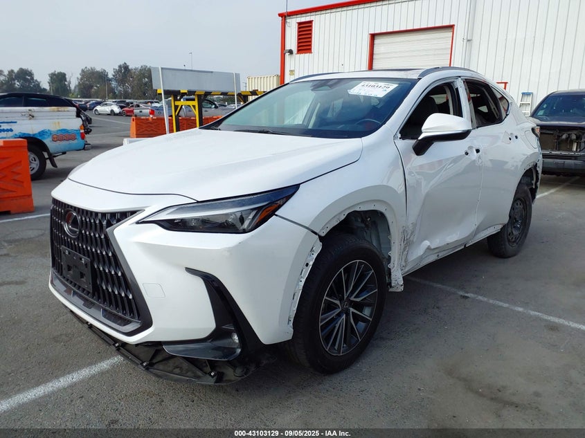 JTJAKCEZ4N5002672 2022 LEXUS NX photo no. 2