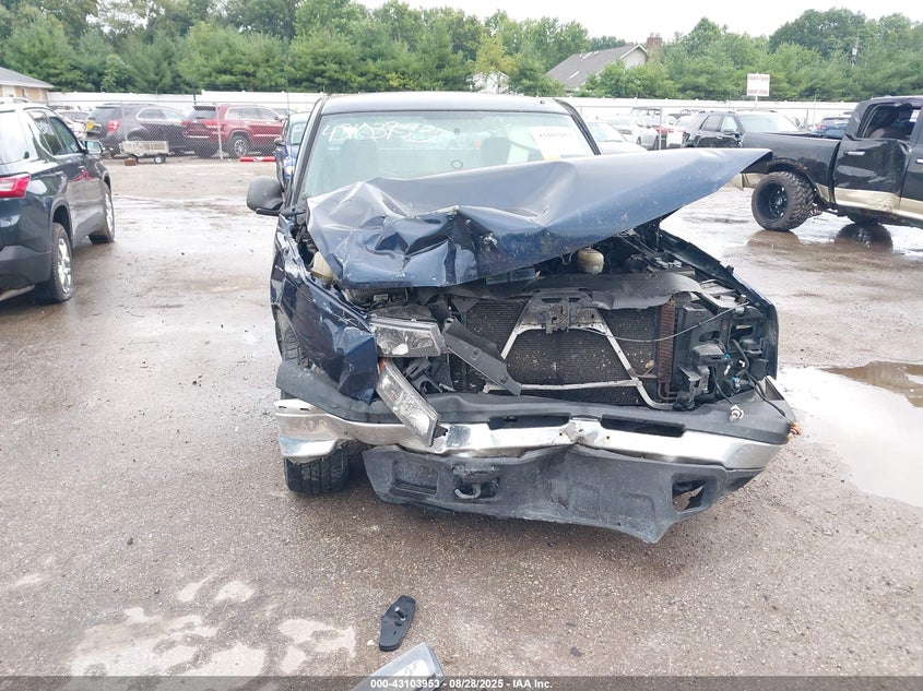 2006 Chevrolet Silverado 1500 Work Truck VIN: 3GCEC14XX6G232314 Lot: 43103953