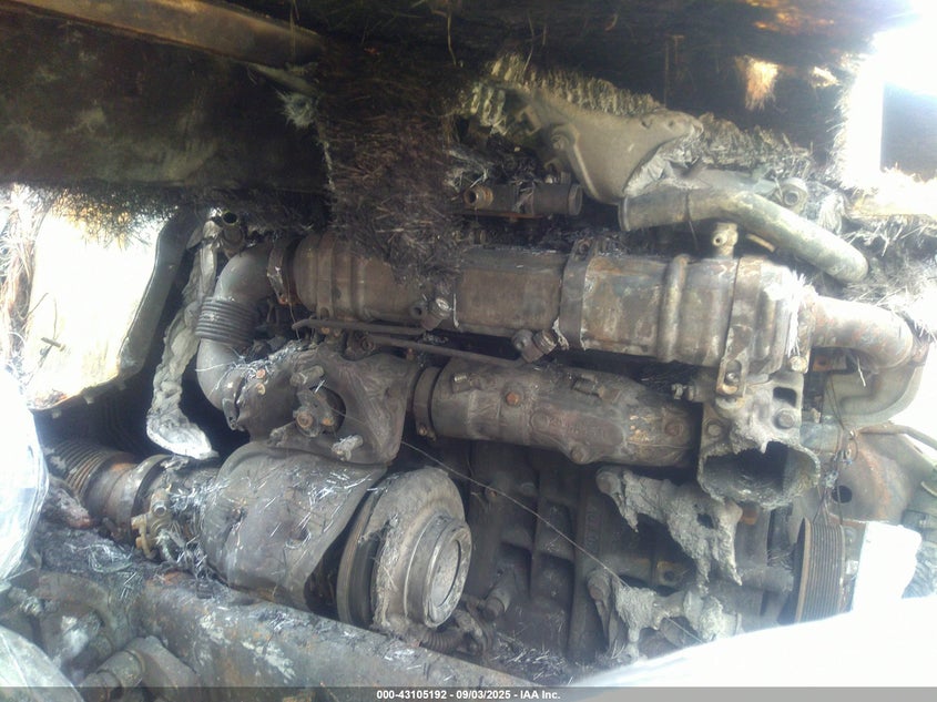 3ALAHTDV5SSVW4404 2025   photo no. 10