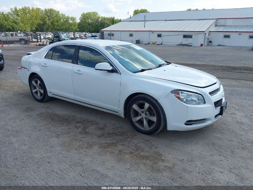 CHEVROLET MALIBU 1LT