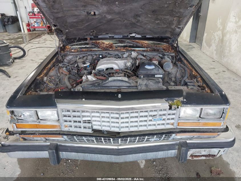 2FABP43F3GX116189 1986 FORD  photo no. 10