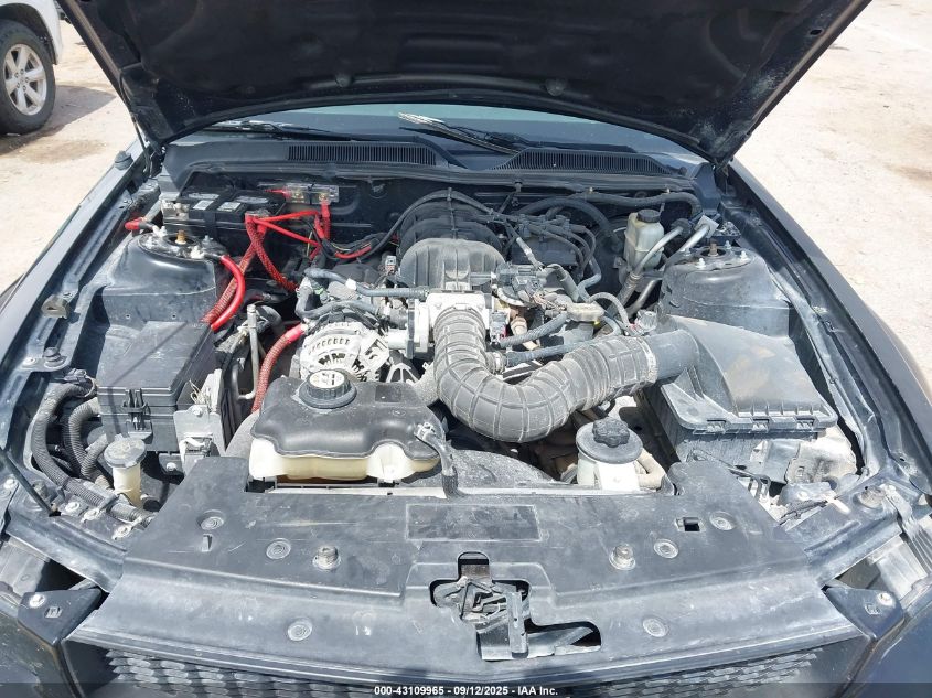 2009 Ford Mustang V6/V6 Premium VIN: 1ZVHT80N495132664 Lot: 43109965