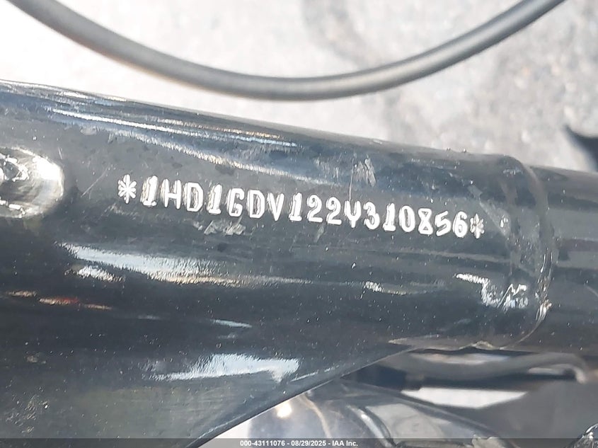 2002 HARLEY-DAVIDSON FXDL 1HD1GDV122Y310856