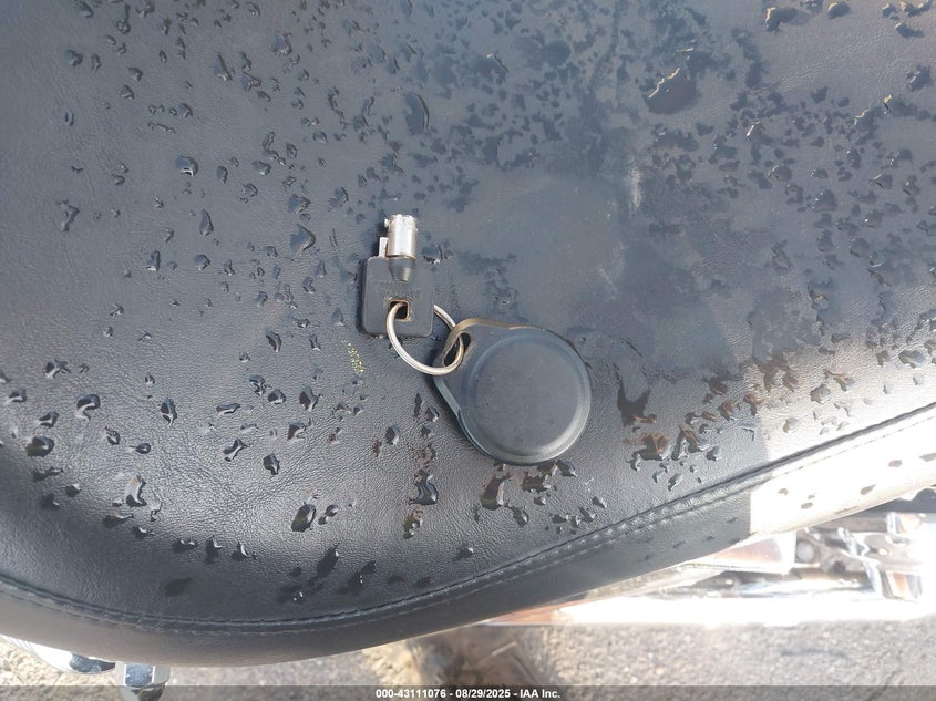 2002 HARLEY-DAVIDSON FXDL 1HD1GDV122Y310856