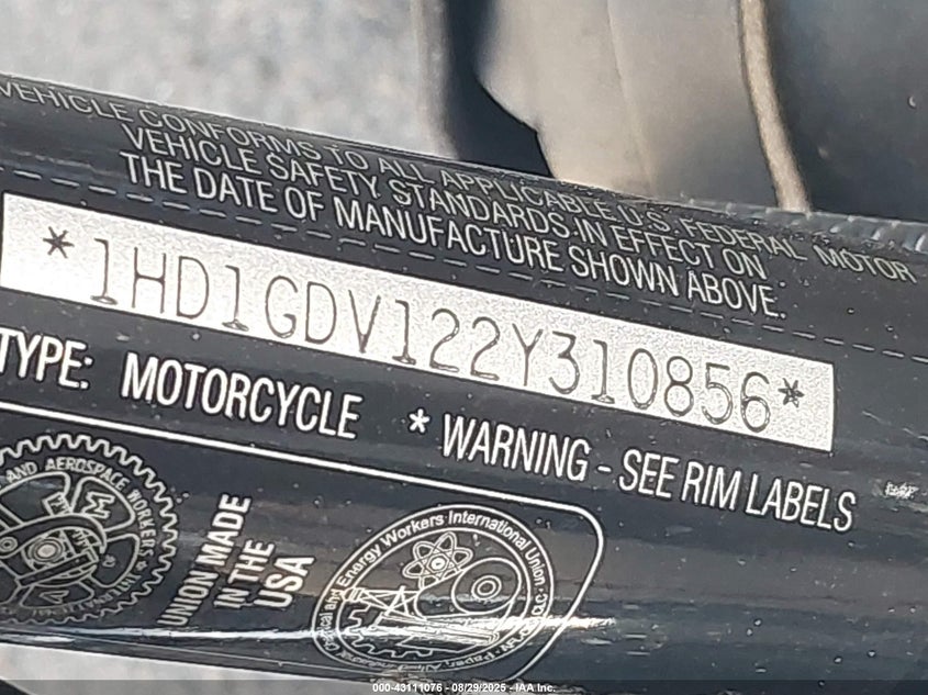 2002 HARLEY-DAVIDSON FXDL 1HD1GDV122Y310856