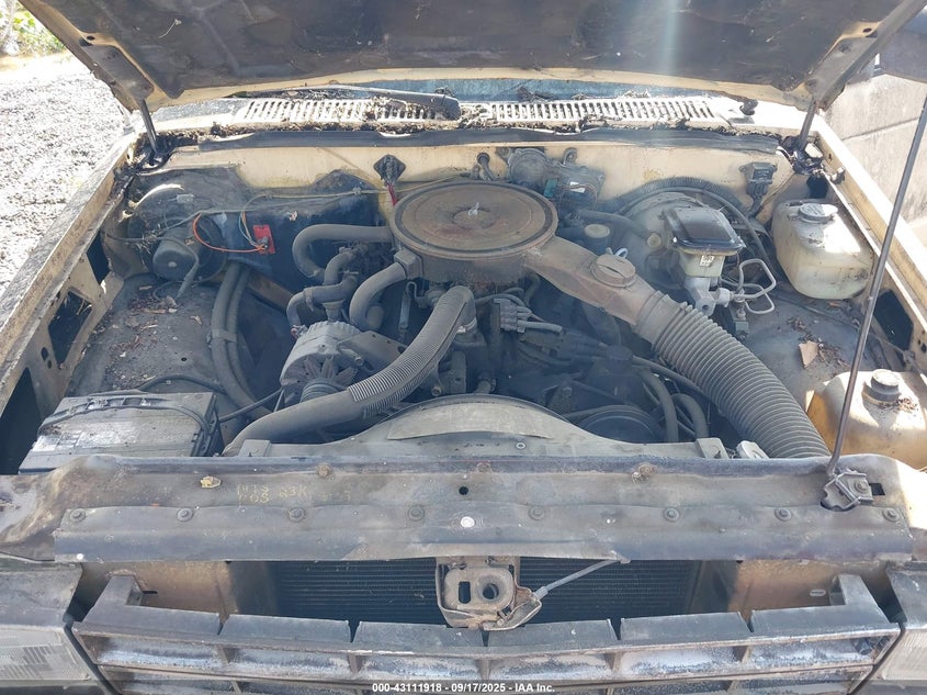 1GCCS14B6D0141914 1983 CHEVROLET S-10 PICKUP photo no. 10