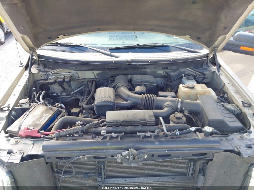 2010 Ford F-150 Fx4/Harley-Davidson/King Ranch/Lariat/Platinum/Xl/Xlt VIN: 1FTFW1EV7AFD30638 Lot: 43113747