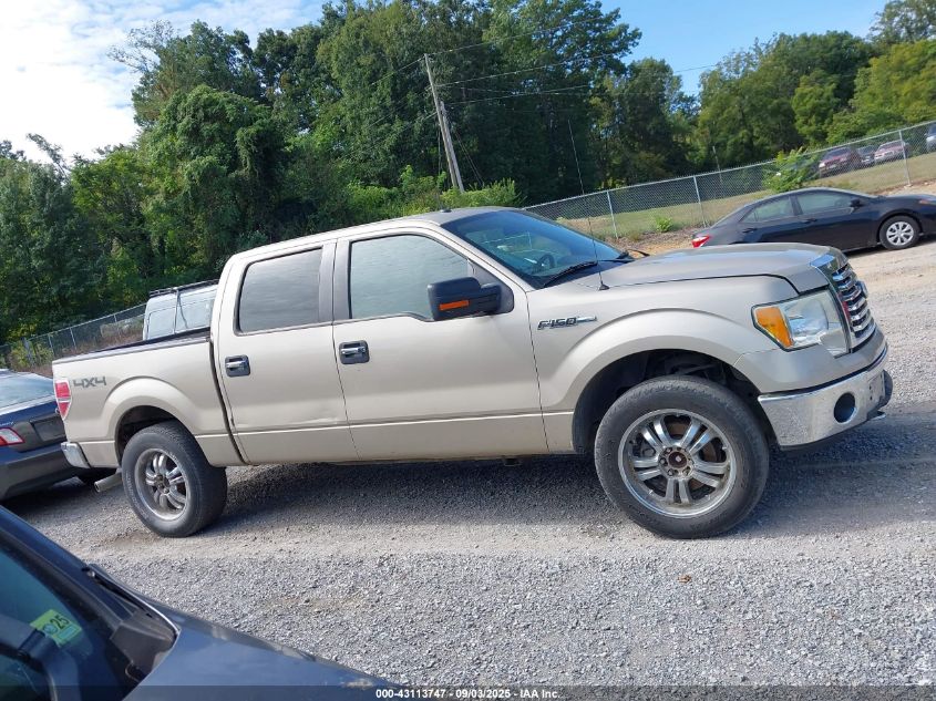 2010 Ford F-150 Fx4/Harley-Davidson/King Ranch/Lariat/Platinum/Xl/Xlt VIN: 1FTFW1EV7AFD30638 Lot: 43113747